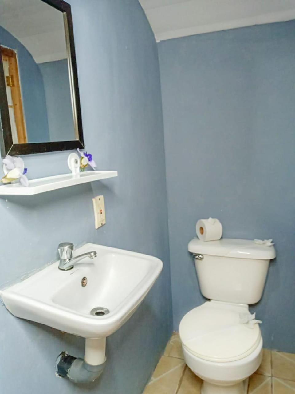 Hospedaje Combi Dream Bird Apartman Playas del Coco Kültér fotó